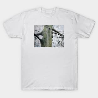 Lovetree T-Shirt